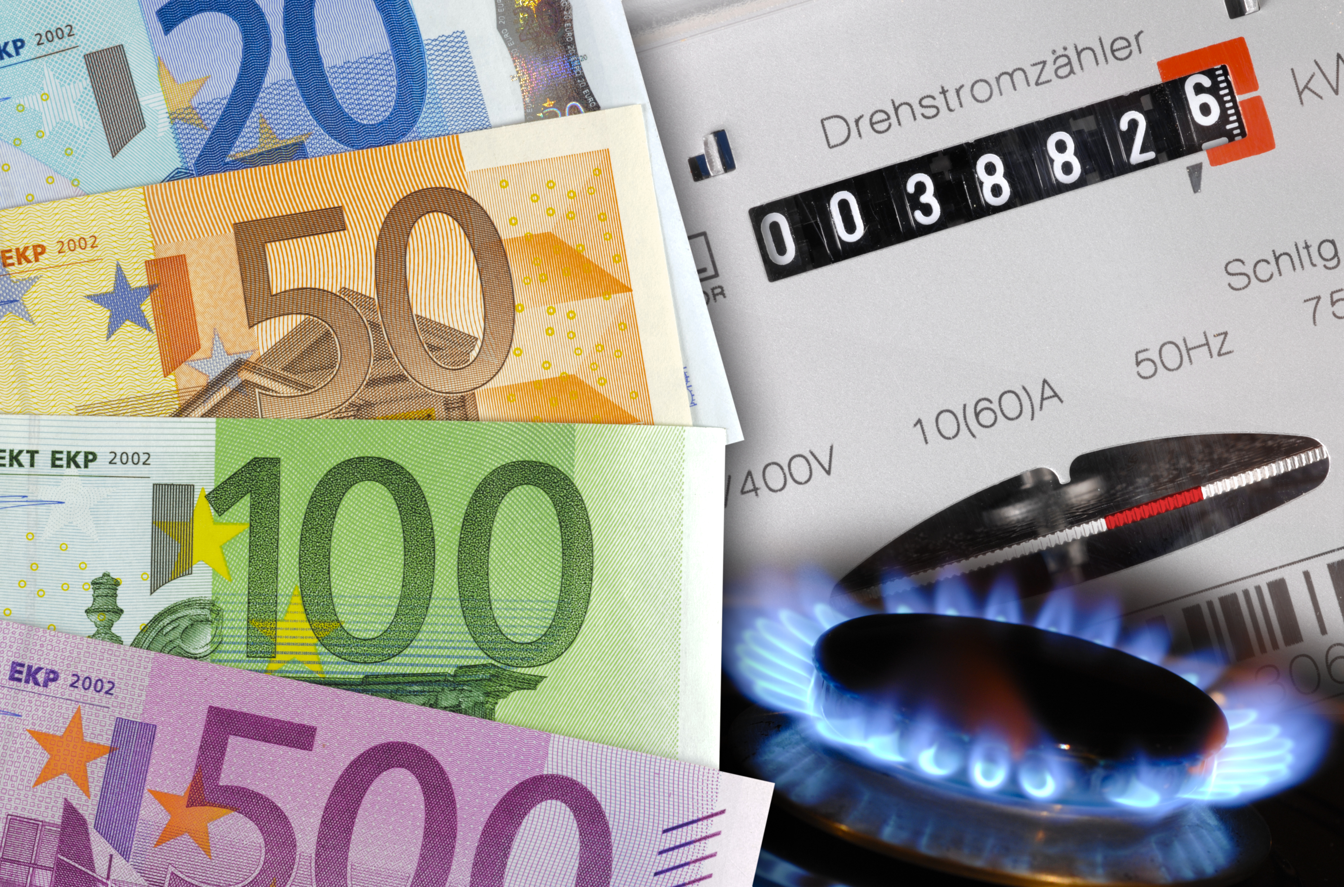 DIE PFLICHT - Die Schwerpunkte unserer PFLICHTAUFGABEN